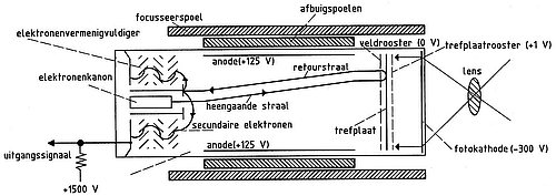 image003